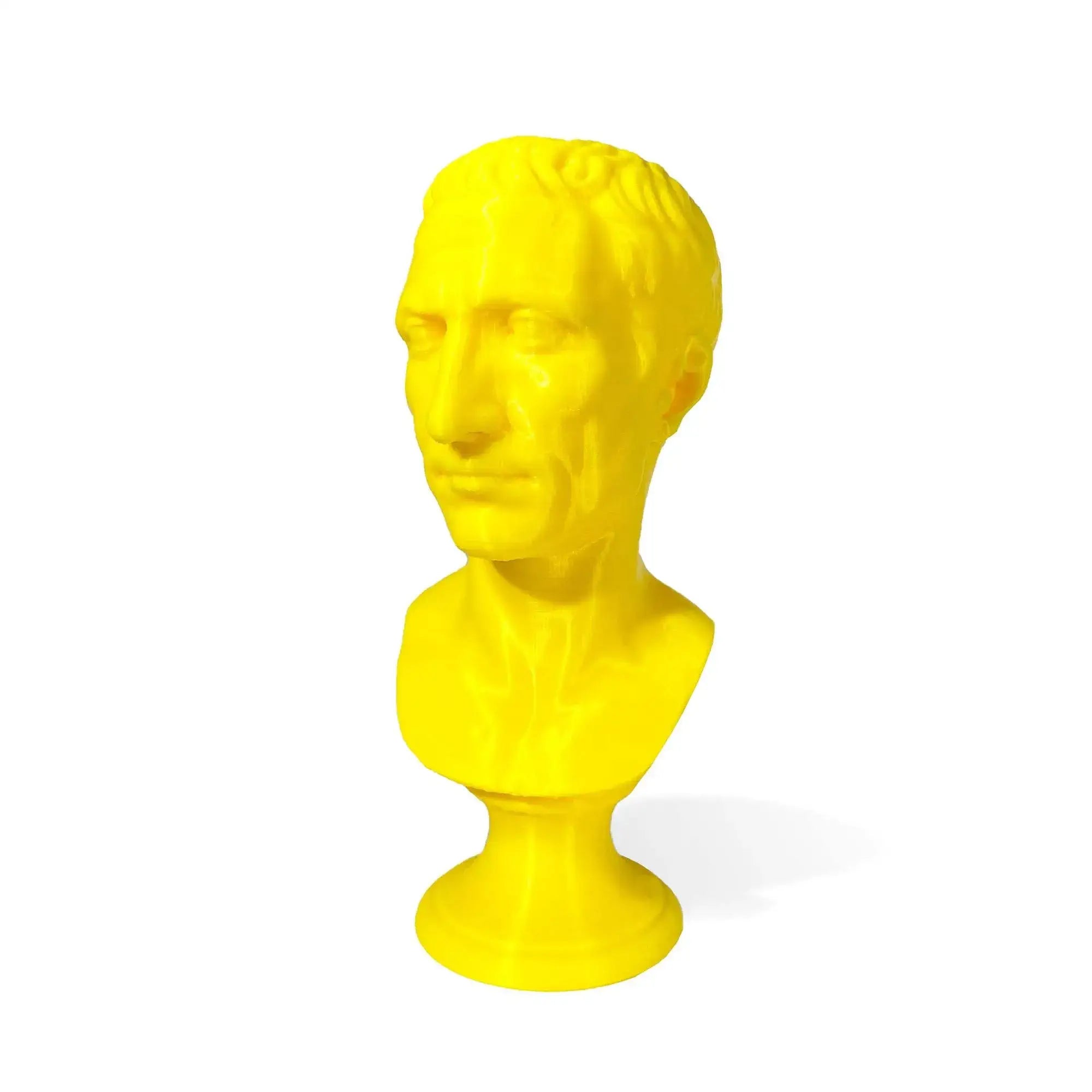 Busto Cesare stampato in 3D