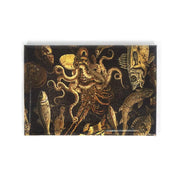 Magnete mosaico fauna marina dalla Casa del Fauno di Pompei.